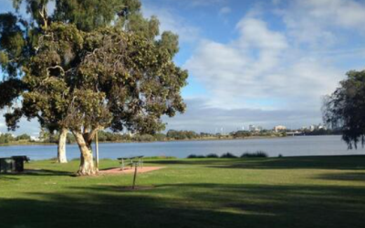 スワン川 パース