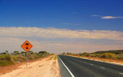 ピルバラ, 道路, 砂漠, カンガルー