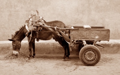 ユーゴスラビア, ブルガリア, 国境の村, タイムマシン