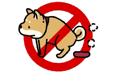 犬, トイレ